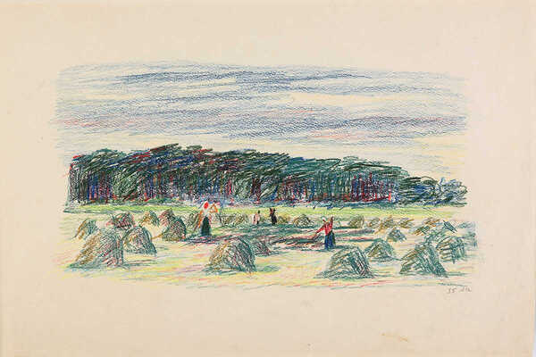 Кострова Анна Александровна. Под Черновцом